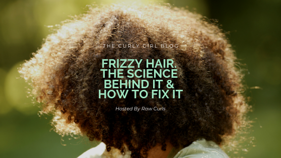 Frizzy Hair. The Science Behind It & How To Fix It