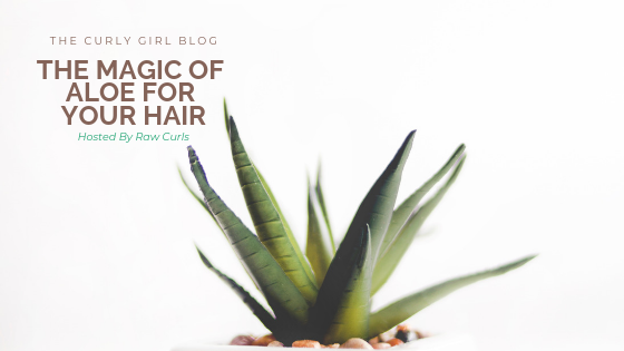 The Magic of Aloe For Your Hair